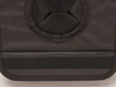 car hanging storage