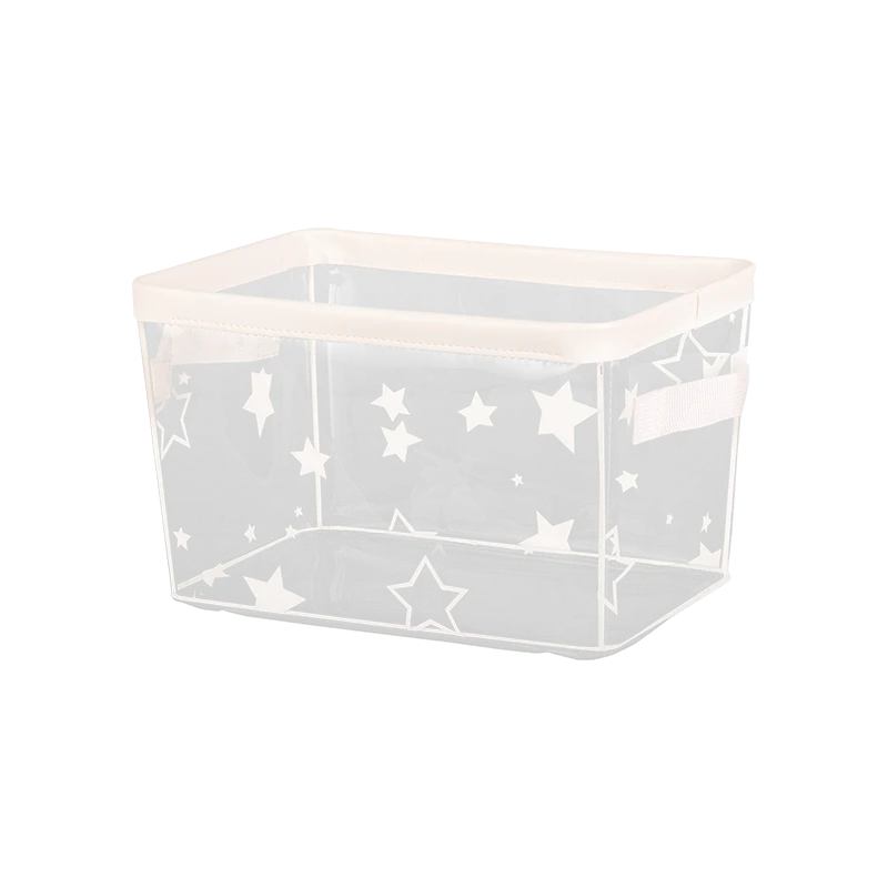 transparent storage boxes